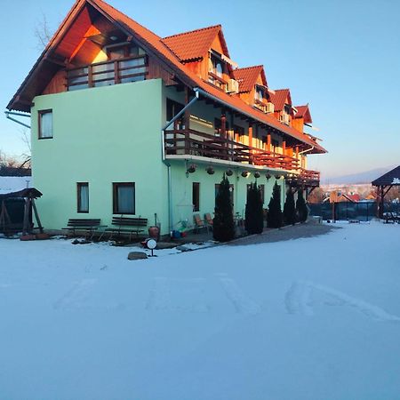 Pensiunea Leia Transfagarasan Cîrţişoara Bagian luar foto