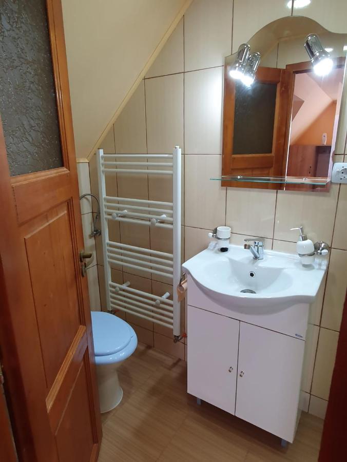 Pensiunea Leia Transfagarasan Cîrţişoara Bagian luar foto