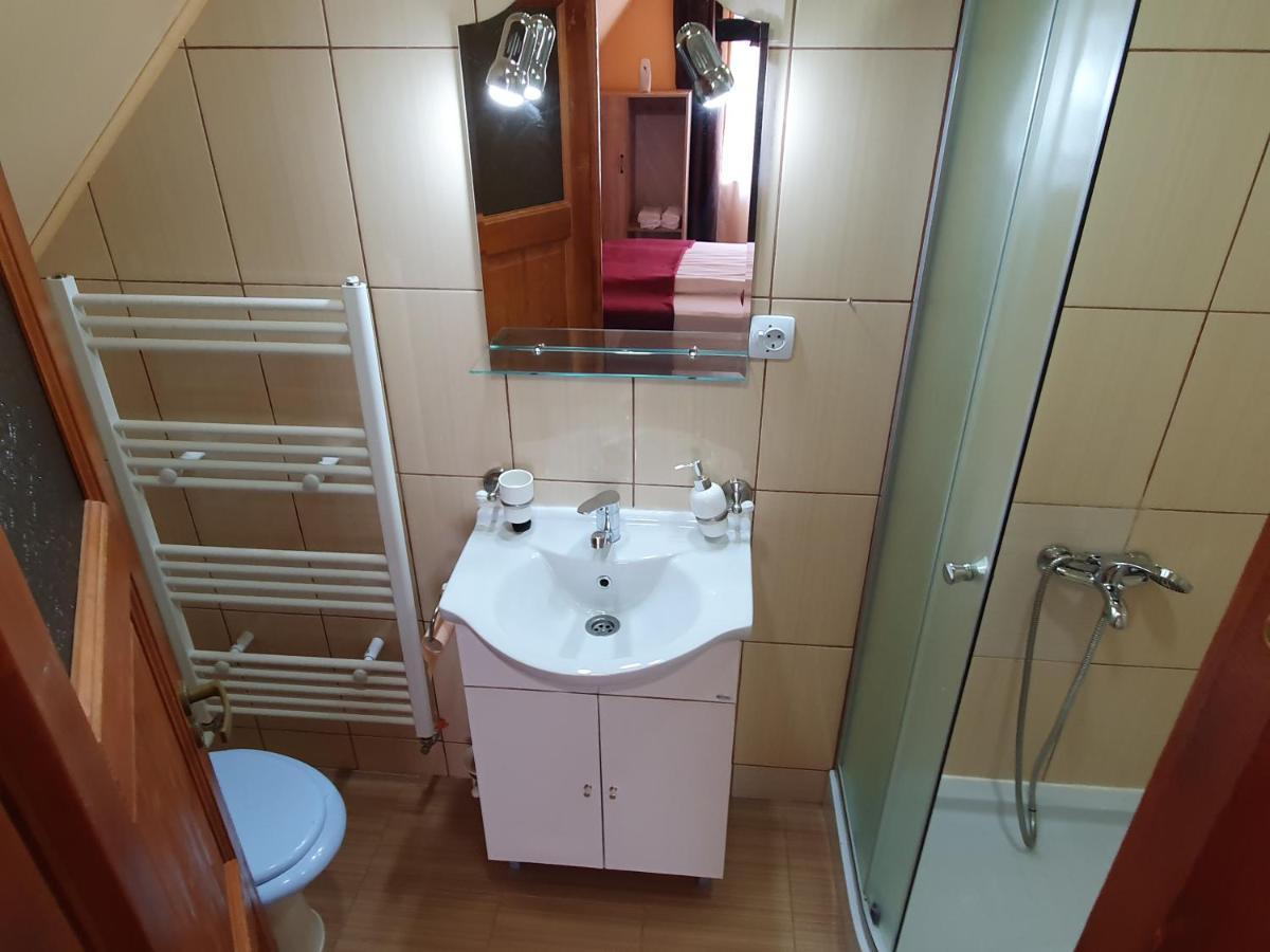 Pensiunea Leia Transfagarasan Cîrţişoara Bagian luar foto