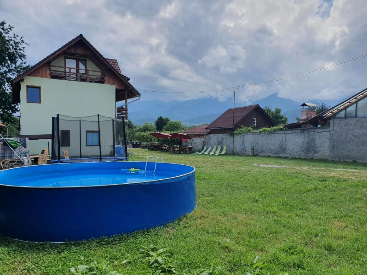 Pensiunea Leia Transfagarasan Cîrţişoara Bagian luar foto
