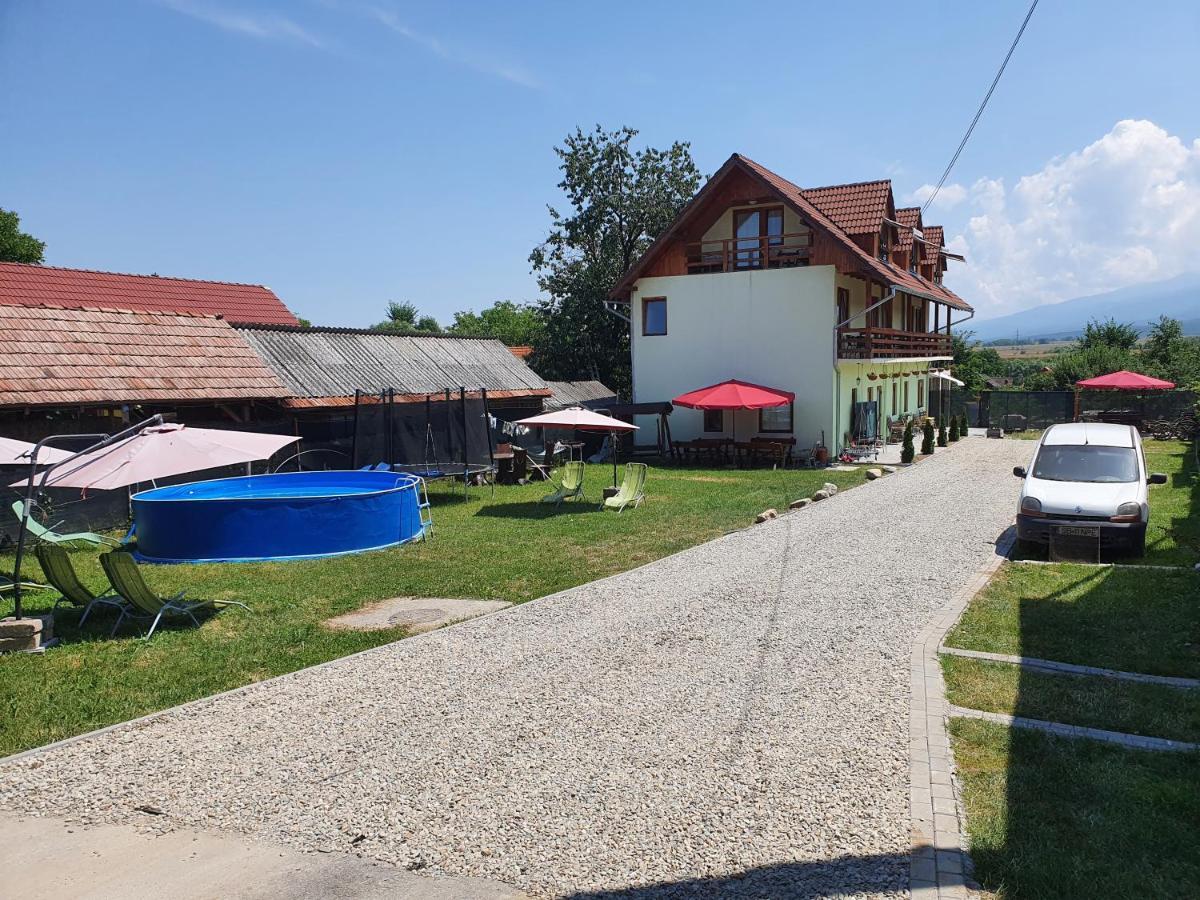 Pensiunea Leia Transfagarasan Cîrţişoara Bagian luar foto