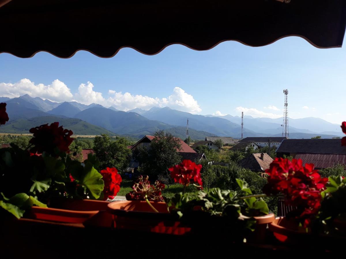 Pensiunea Leia Transfagarasan Cîrţişoara Bagian luar foto