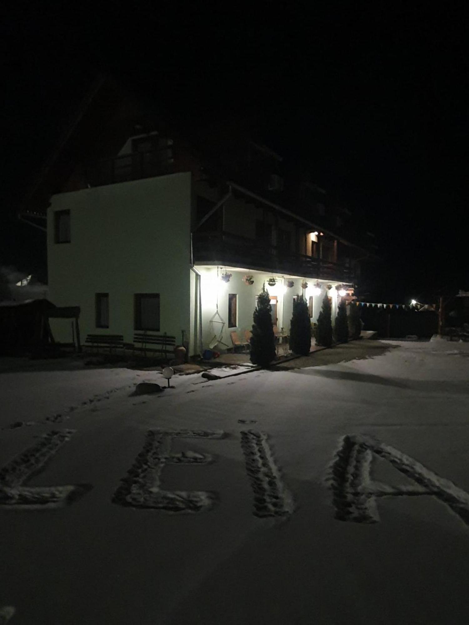 Pensiunea Leia Transfagarasan Cîrţişoara Bagian luar foto